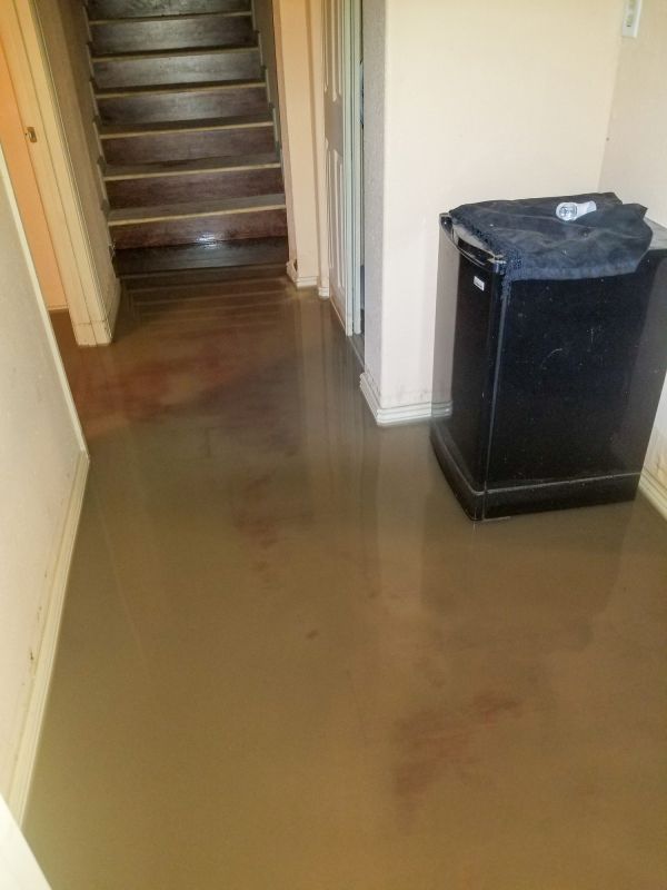 Basement Water Cleanup in Napa, CA