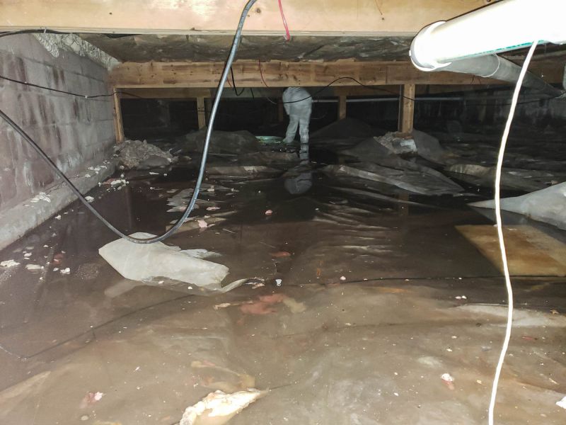 Basement Water Cleanup in Napa, CA