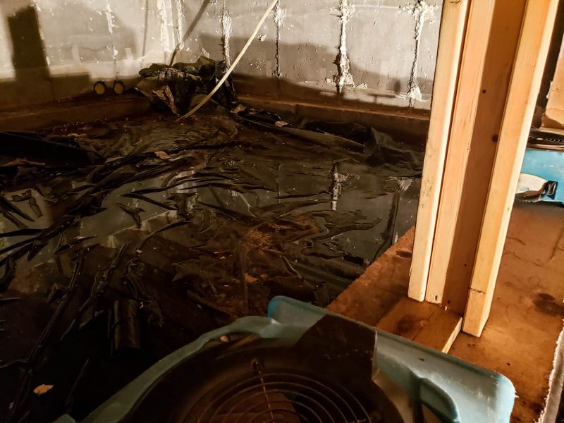 Basement Water Removal in Mesa, AZ